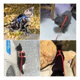 Kedi Tasması Göğüs Tasma Belden Bağlama Yavru Köpek Gezdirme Boyun Bel Kırmızı Renk