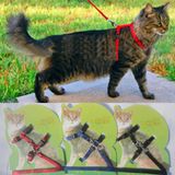 Kedi Tasması