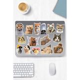 Kedi Temalı Sticker Telefon Laptop Notebook Tablet Defter Matara Stiker Etiket - 13 x 18 cm - Renkli
