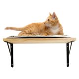 Kedi Tırmanma Rafı Duvar Rafları, Kedi Tırmalama Huni Yastık Mat- Yükseltilmiş Montajlı Ahşap Yüzer Duvar Rafı - İç Mekan Uyumak, Oynamak, Tırmanmak için Duvara Monte Kedi Raf Yatağı