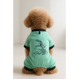 Kedi ve Köpek Kıyafeti & Elbisesi - Mint 4 Bacak Tulum Bugs Bunny - Mint Yeşili - XL