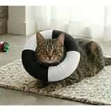 Kedi ve Köpek Siyah - Beyaz Elizabeth Yakalık Operasyon Boyunluk eliz001