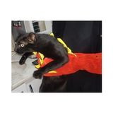 Kedi Yakalama Eldiveni 40 Cm
