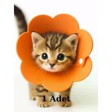 Kedi Yakalık Yumuşak Özel Teknofoam (3 Beden Ayarlanabilir)