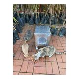Kedi Yuvası Kedi Evi Isı Ve Su Yalıtımlı % 100 Korunaklı -11 Mm Osb -Video Anlatımlı