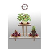 Kedigram Kedi Kulübesi Çiçek Standı 5 - Natural Çiçeklik -saksılık- Çiçek Rafı - Balkon Bahçe Düzenleme