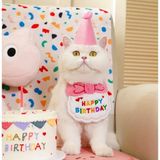 Kedi/köpek Doğum Günü Parti Kıyafeti/aksesuarı (Şapka ve Önlük) Evcil Hayvan Doğum Günü Sürprizi - 0 - Pembe