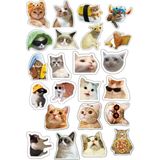 Kediler Sticker Telefon Laptop Notebook Tablet Defter Matara Stiker Etiket ST899