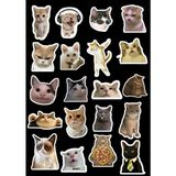 Kediler Sticker Telefon Laptop Notebook Tablet Defter Matara Stiker Etiket ST946