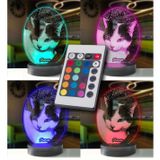 Kedilere Özel Oval Resimli Kişisel 3d Led Gece Lambası (Karışık)