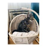 KEDİME Kedi salıncağı,kedi yatağı, kedi evi ( krem )