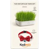 Kedimio Doğal Kedi Çimi ve Papyon Kedi Tasması Seti