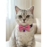 Kedimio Papyonlu Kedi Boyun Tasması 3 Lü Set Ayarlanabilir Papyon Fiyonk Zilli - Pembe - Ayarlanabilir