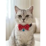 Kedimio Papyonlu Kedi Boyun Tasması Ayarlanabilir Papyon Fiyonk Zilli - Kırmızı - Ayarlanabilir