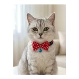 Kedimio Papyonlu Kedi Boyun Tasması Ayarlanabilir Papyon fiyonk zilli