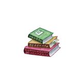 KEEBA Kitap broş. Yaka iğnesi kitap broş. Kristal taşlı tasarım kitap broş. Kadın broş. Erkek broş. Broş