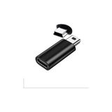 Keepro Typec Mini USB Çevirici Type-C Mini USB Çevirici - Gri - 1 m