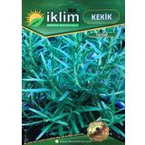 KEKİK TOHUMU 1 GR TAKRİBİ 250 ADET TOHUM