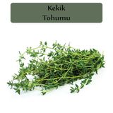 Kekik Tohumu 1 Paket Kapalı Paket Yüksek Verimli Tohum
