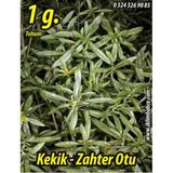Kekik Tohumu Zahter Satureja hortensis L - 1 g. (~ Takribi 250 Tohum)