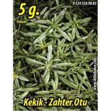 Kekik Tohumu Zahter Satureja hortensis L - 5 g. (~ Takribi 1250 Tohum)