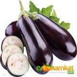 Kemer Patlıcan Tohumu 25 gr (Paket)
