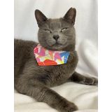 Kemique Autumn Kedi Bandana, Fular, Kedi Kıyafeti Kedi Elbisesi, Kedi Tasması