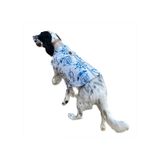 Kemique Blue Nautica Orta ve Büyük Irklar için Köpek Yağmurluğu mavi