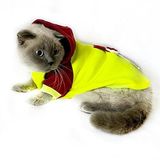 Kemique Bunny Bordo Fosfor Kapsonlu Sweatshirt Kedi Kıyafeti