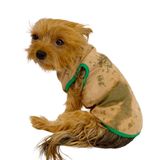 Kemique Camouflage Radar Atlet By Köpek Elbisesi