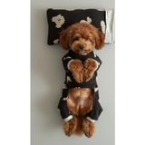 Kemique Doggy Köpek Uyku Takımı | Pamuklu Penye Köpek Tulumu ve Mini Yastık | Küçük Irklar İçin | Tüy Dökülmesini Azaltır