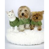 Kemique Grass Green Köpek Gömleği Köpek Kıyafeti Köpek Elbisesi