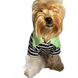 Kemique Grass Hopper Stripe Polo Yaka Tişört Köpek Kıyafeti Köpek Elbisesi XL