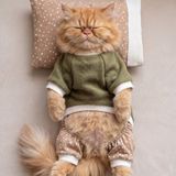 Kemique Latte & Matcha Kedi Rüyası | Pamuklu Kedi Tulumu, Polar Sweatshirt ve Mini Yastık | 3 Parça