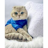 Kemique Mavi Superman Kedi Tişörtü Kedi Kıyafeti Kedi Elbisesi - S