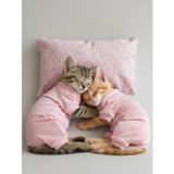 Kemique Minimini Kapler Kedi Uyku Seti | Penye Kedi Tulum ve Mini Yastık Takımı | Pamuklu | Tüy Dökülmesini Azaltır |
