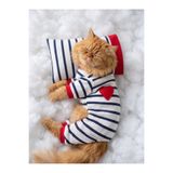Kemique Mon Amour Çizgili Kedi Uyku Seti | Penye Kedi Tulum ve Mini Yastık Takımı | Pamuklu | Tüy Dökülmesin
