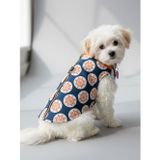 Kemique Navigator Küçük Köpek Yağmurluk Ceket