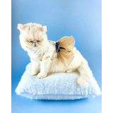 Kemique Navy Creamy Tütülü Kedi Elbisesi, Kıyafeti Tutu XL
