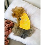 Kemique Orange Stripe Atlet Köpek Kıyafeti Köpek Elbisesi - M