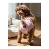 Kemique Pink Rosie Kemique's Secret Köpek İç Çamaşırı Regl Külot Don