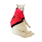 Kemique Pink Stars Kapşonlu Sweatshirt Kedi Kıyafeti XL