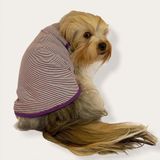 Kemique Purple Stripe Köpek Kıyafeti Köpek Elbise MOR L