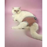 Kemique Renkli Pink Shine Secret Kedi Iç Çamaşırı Regl Külodu
