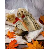 Kemique Stripe Orange Su Itici Köpek Yağmurluğu - M