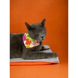 Kemique Summer Kedi Bandana, Fular, Kedi Kıyafeti Kedi Elbisesi, Kedi Tasması