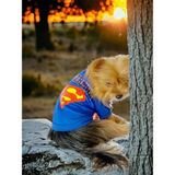 Kemique Superman Köpek Tişört Köpek Kıyafeti