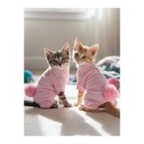 Kemique Tassel and Rainbow Soft Pink - Pastel Pembe Pamuklu Kedi Tulum Pijama