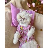 Kemique Toad Teddy Penye Kedi Tulum ve Yastık Takım Uyku Seti