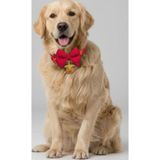 Kemique Yılbaşı Geyiği Köpek Papyon Tasması | Kırmızı Fiyonk Boyun Aksesuarı | Noel Temalı Köpek Süsü | Orta ve Büyük Irklar İçi